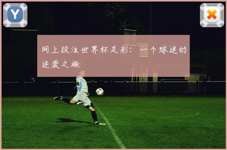网上投注世界杯足彩：一个球迷的逆袭之旅