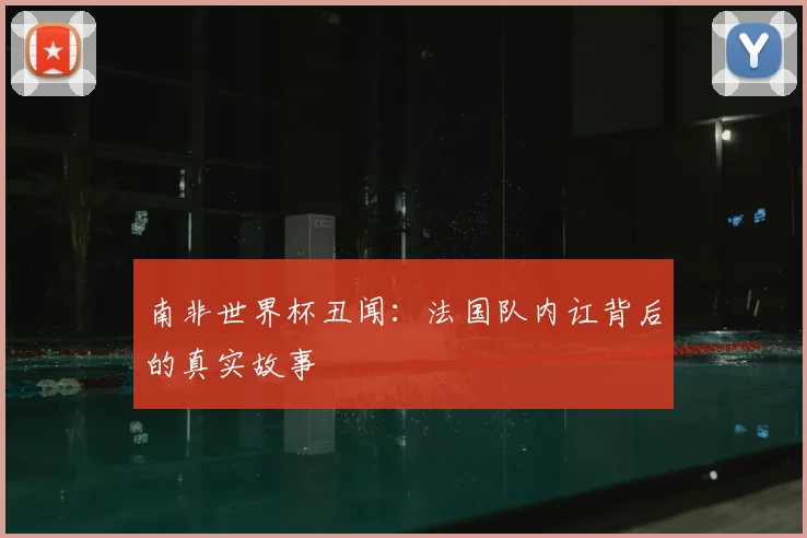南非世界杯丑闻：法国队内讧背后的真实故事