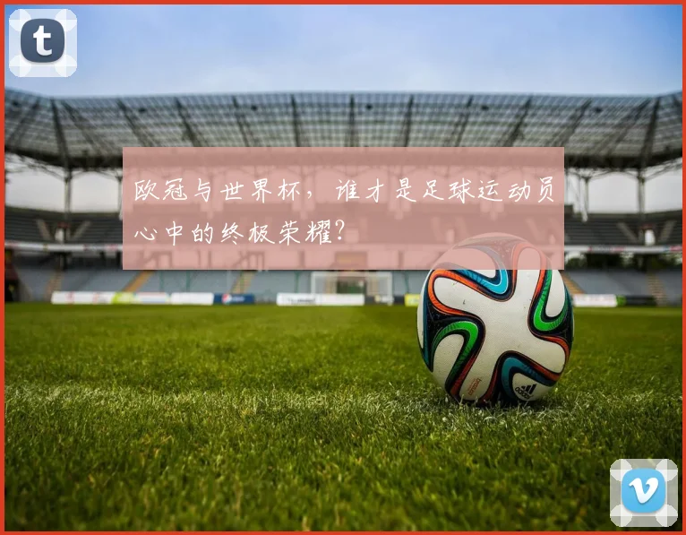 欧冠与世界杯,谁才是足球运动员心中的终极荣耀?