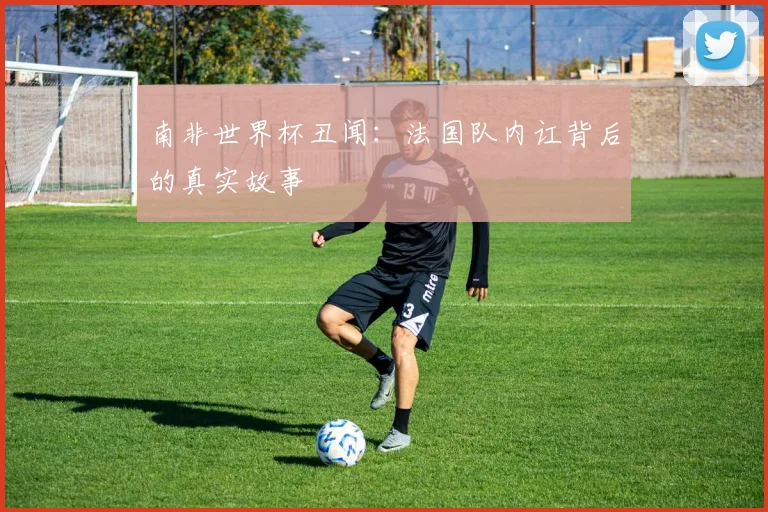 南非世界杯丑闻：法国队内讧背后的真实故事