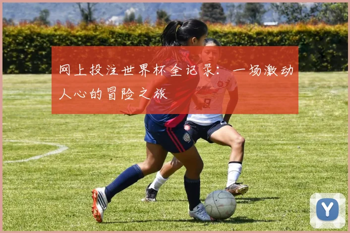 网上投注世界杯全记录：一场激动人心的冒险之旅
