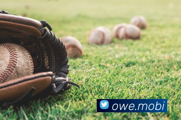 开云手机登录官网发展历程